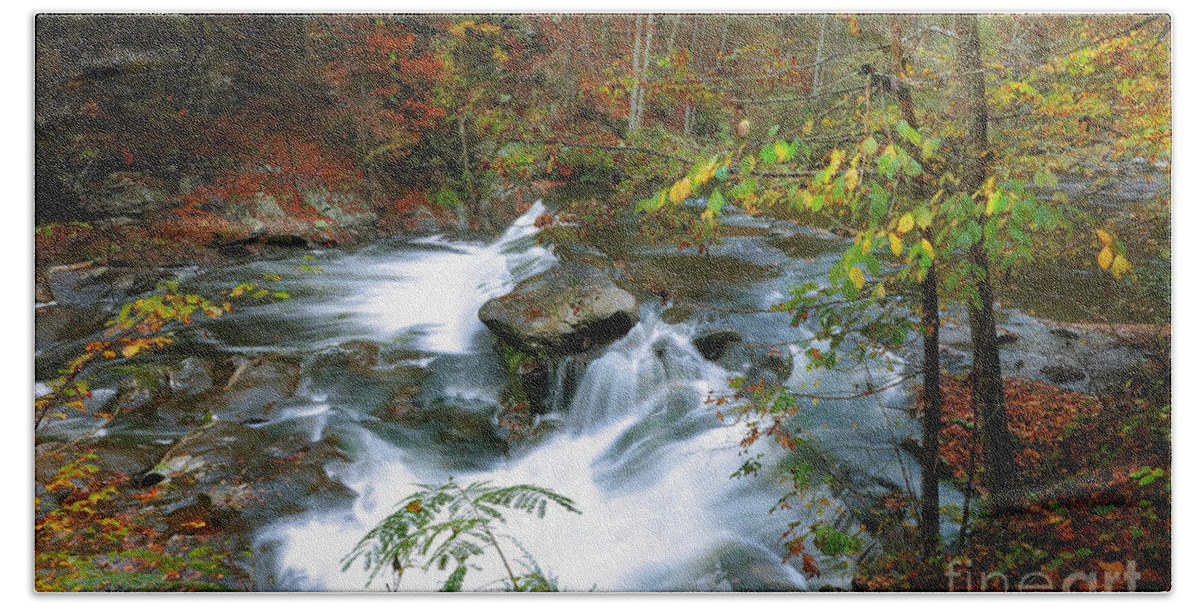 Creeks Bath Towel featuring the photograph Solitude Falls by Rick Lipscomb