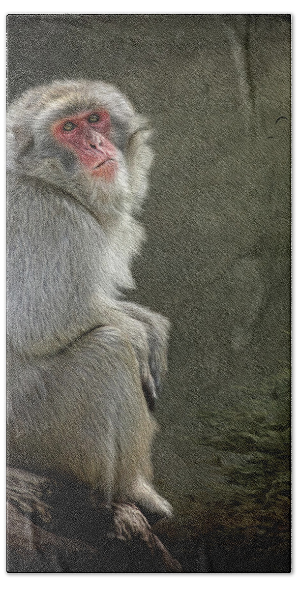 Monkey Bath Towel featuring the digital art Solitude by Maggy Pease