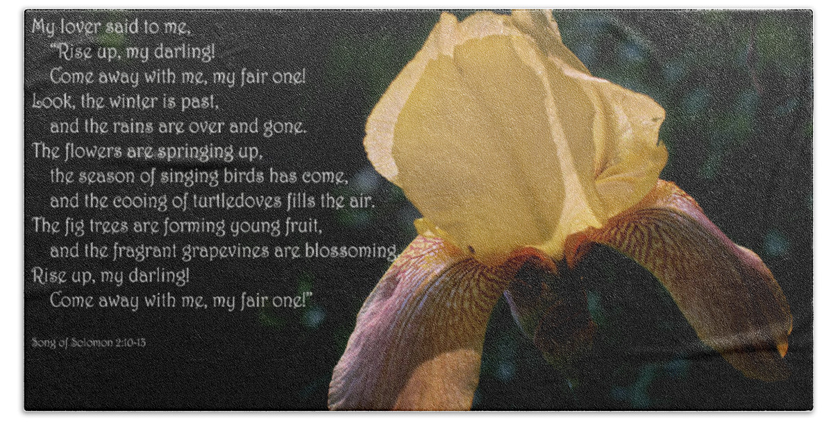 Scripture; Song Of Solomon; Iris; Yellow; Scripture Picture; Song Of Solomon 2:10-13; Flower; Bloom; Blossom; Lover; Spring Bath Towel featuring the photograph Song of Solomon Chapter 2 by George Taylor