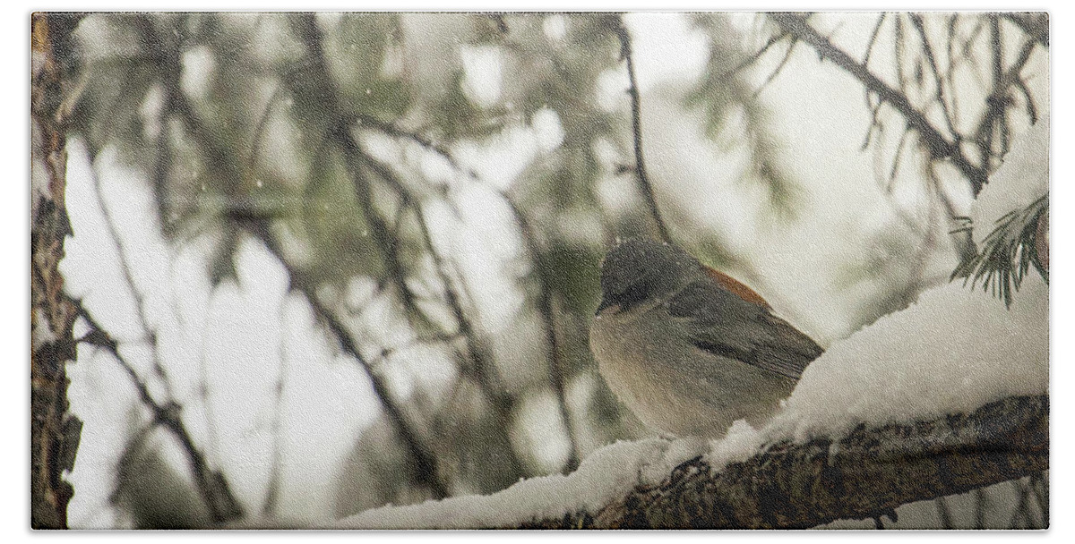Wildlife Bath Towel featuring the photograph Songbird in Winter by Laura Putman