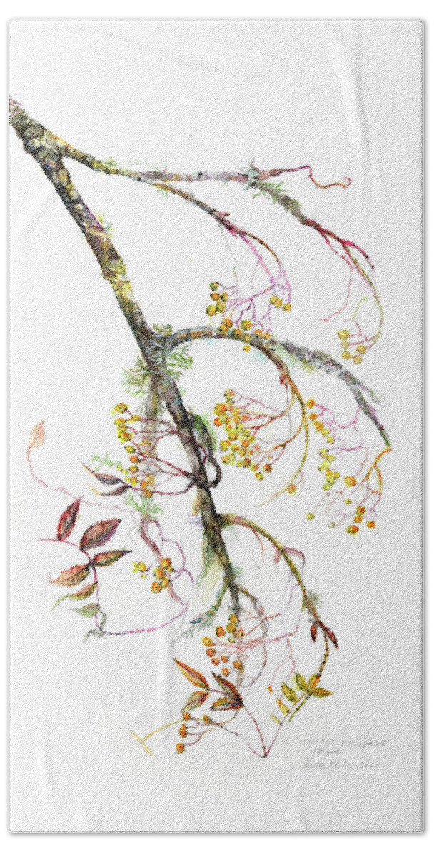 Rowan Branch Bath Towel featuring the painting Sorbus aucuparia by Gloria Newlan