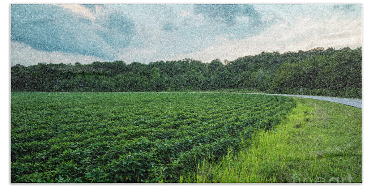 Soybean Sunset - Floyds Fork - Louisville - Kentucky Fleece