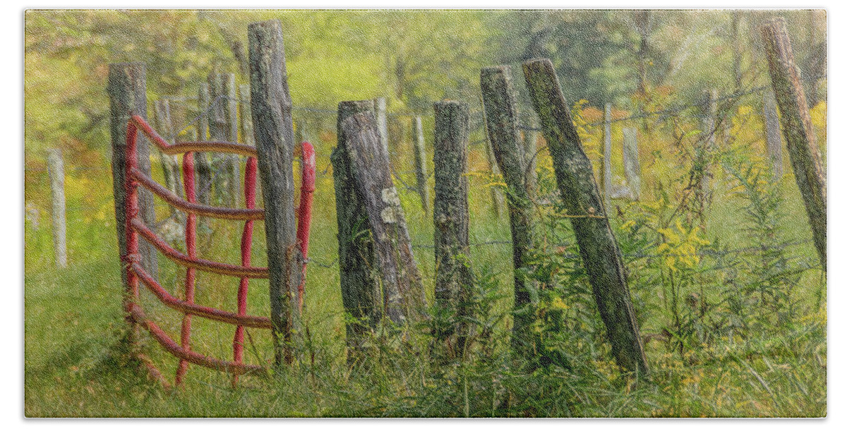 Cades Cove Hand Towel featuring the photograph Sparks Lane Appeal by Marcy Wielfaert
