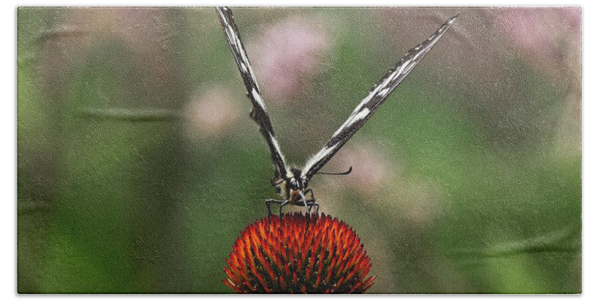 Butterfly Bath Towel featuring the photograph Spicebush Swallowtail Butterfly 2 on Echinacae by Steven Ralser