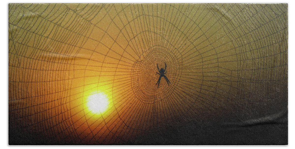 Spider Bath Towel featuring the photograph Spider Rise by Addison Likins