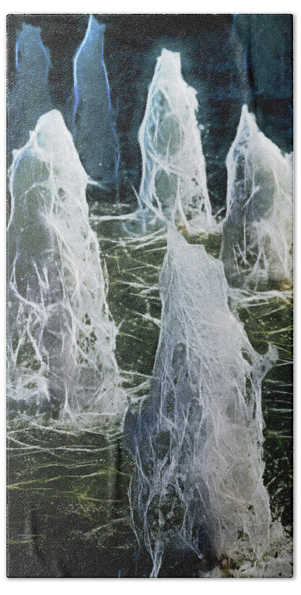 Spirits Bath Towel featuring the photograph Spiritual Meeting by Elaine Teague