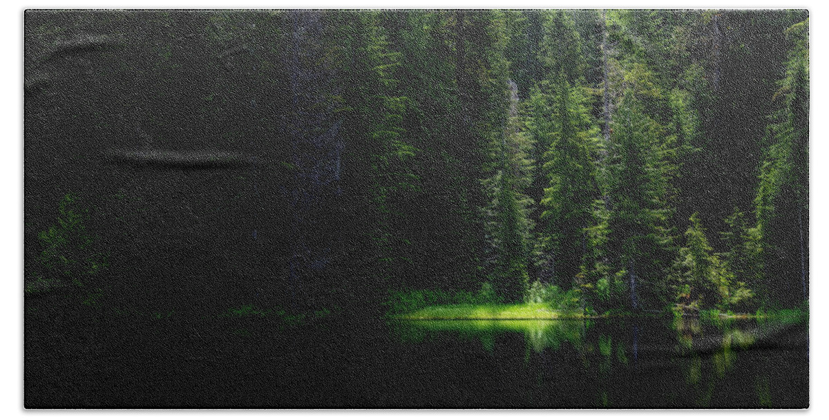 Dense Bath Towel featuring the photograph Spotlight on Alpine Lake Grass by Pelo Blanco Photo