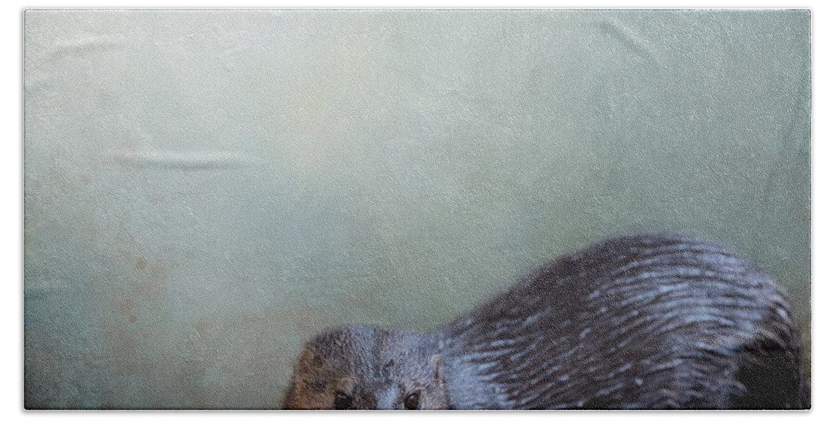 Spotted-necked Otter Bath Towel featuring the photograph Spotted-Necked Otter by Eva Lechner