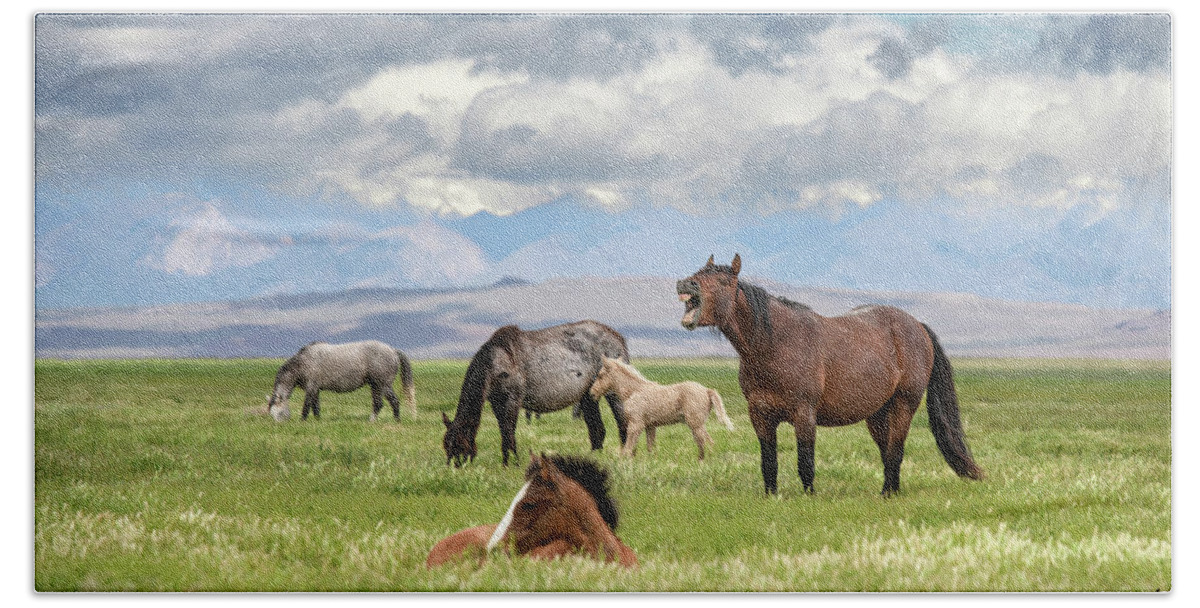 Stallion Bath Towel featuring the photograph Spring Afternoon Equines. by Paul Martin
