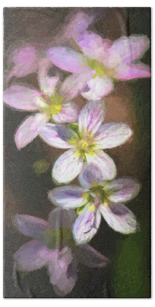 Wildflowers Bath Towel featuring the photograph Spring Beauties by Linda Shannon Morgan