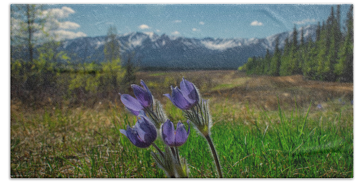 Pasqueflower Hand Towel featuring the photograph Spring Comes to the Bison Range by Cathy Mahnke