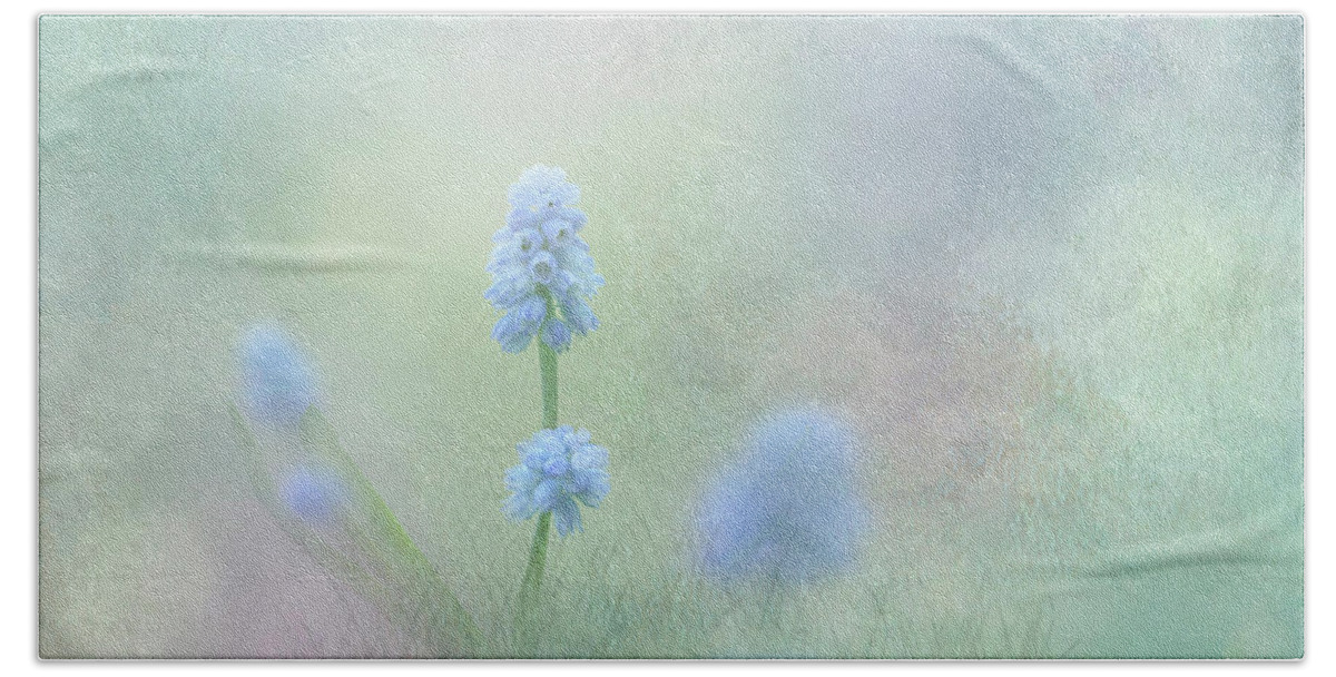 Spring Flowers Bath Towel featuring the photograph Spring Ephemeral with Texture - Muscari by Patti Deters