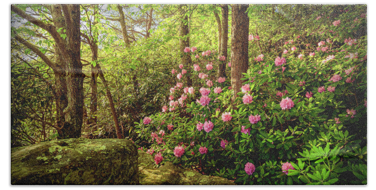 Rhododendron Hand Towel featuring the photograph Spring in the Forest by SC Shank