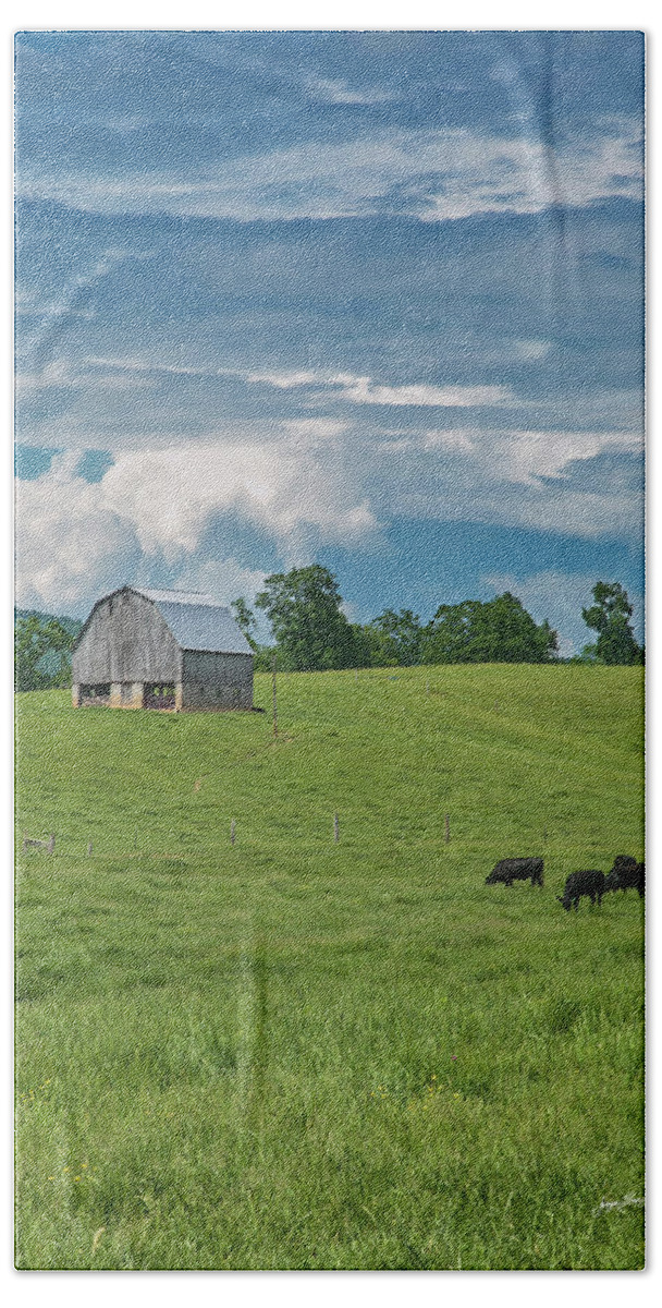 Cows Bath Towel featuring the photograph Spring Pasture by Jurgen Lorenzen