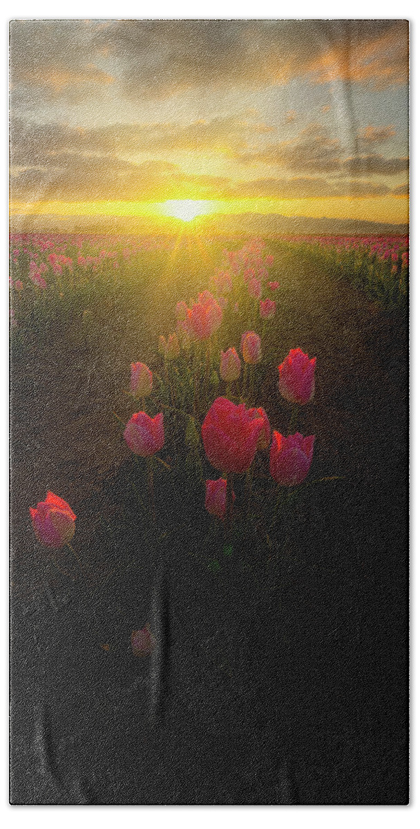 Roozengaarde Bath Towel featuring the photograph Spring Sunrise by Ryan Manuel