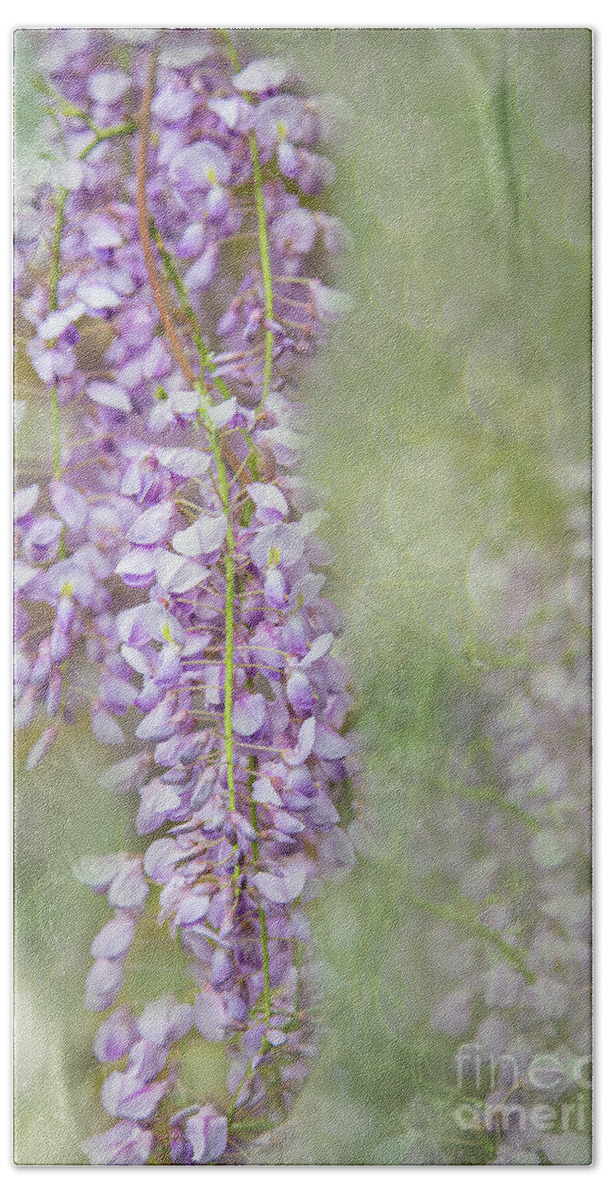 Sunnylea Hand Towel featuring the photograph Spring Waltz of the Wisteria by Marilyn Cornwell