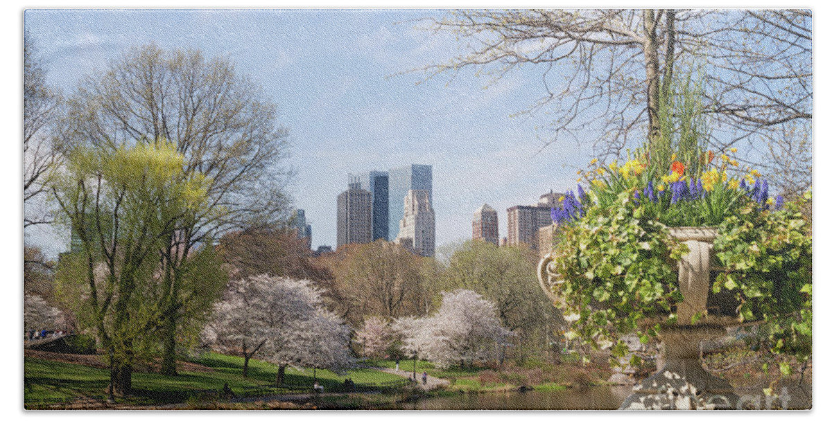 Springtime Hand Towel featuring the photograph Springtime view of Central Park, NYC by Bryan Attewell
