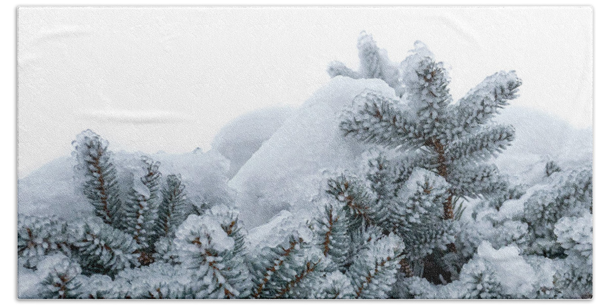 https://render.fineartamerica.com/images/rendered/default/flat/bath-towel/images/artworkimages/medium/3/spruce-branches-covered-with-frost-christmas-tree-with-hoarfrost-lubos-chlubny.jpg?&targetx=0&targety=-79&imagewidth=952&imageheight=634&modelwidth=952&modelheight=476&backgroundcolor=94A4B1&orientation=1&producttype=bathtowel-32-64