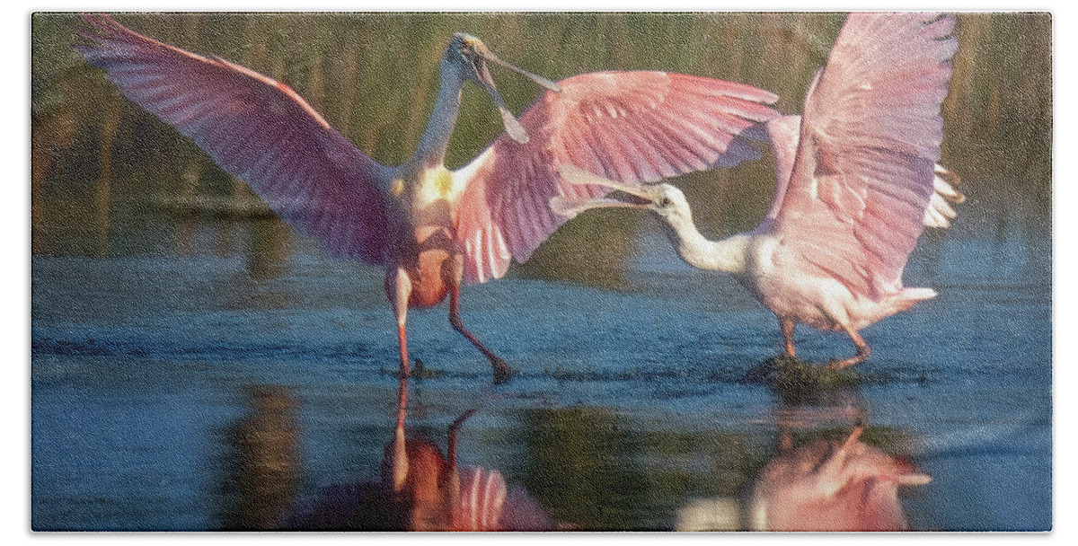 Roseate Spoonbills Hand Towel featuring the photograph Squabble in Pink by Jaki Miller