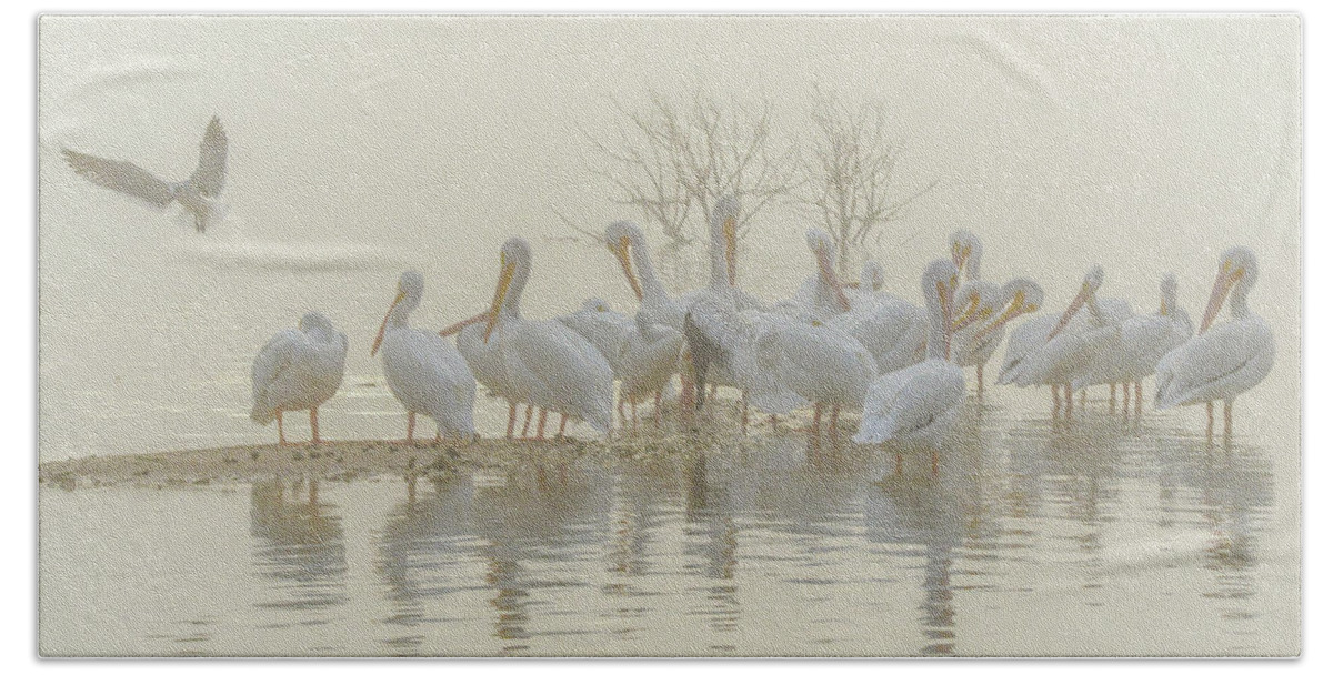 White Hand Towel featuring the photograph Squadron in the Fog by Christopher Rice