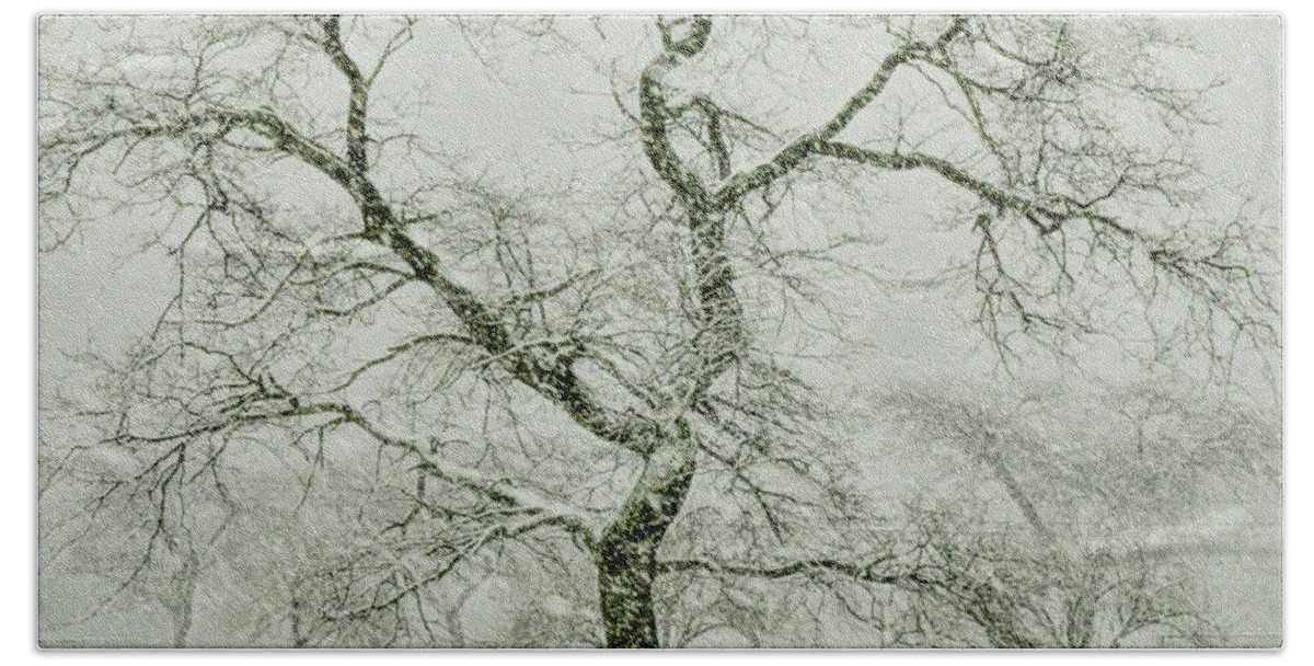 Snow Hand Towel featuring the photograph Squall at Cummngs Park by Cordia Murphy