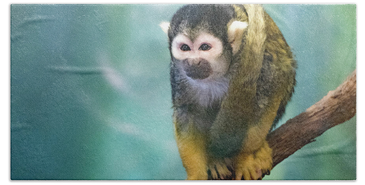 2017 Bath Towel featuring the photograph Squirrel Monkey by Gerri Bigler