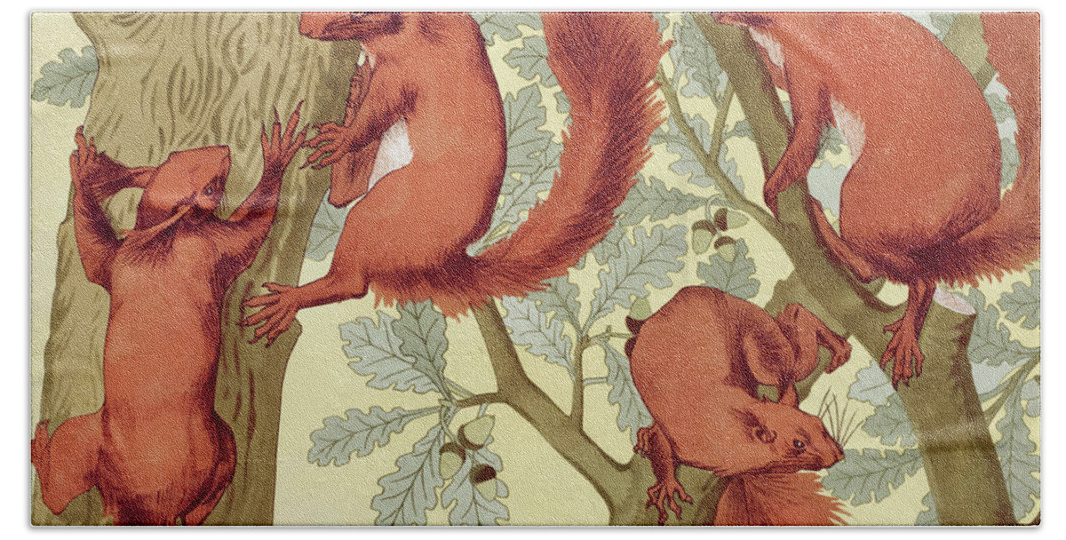 Squirrel Bath Towel featuring the drawing Squirrels by Maurice Pillard Verneuil