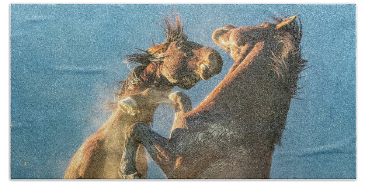 Nevada Hand Towel featuring the photograph Stallions Fighting at Sunset by Marc Crumpler