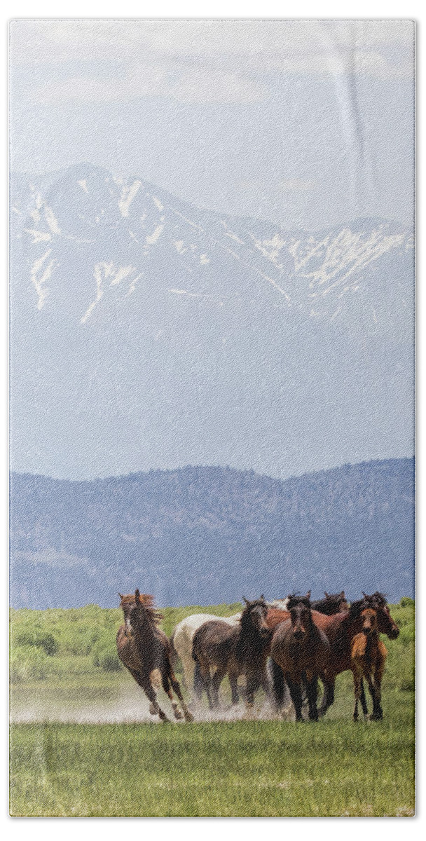 Eastern Sierra Hand Towel featuring the photograph Stampede by Cheryl Strahl