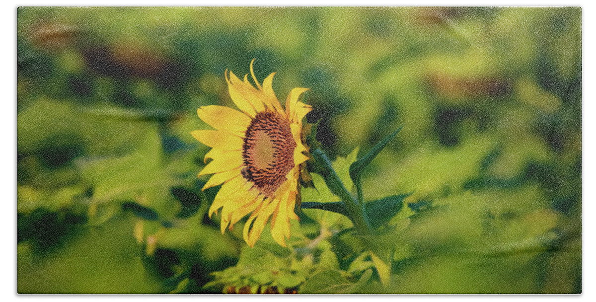 Sunflower Bath Towel featuring the photograph Stand Out from the Crowd by Pam Rendall