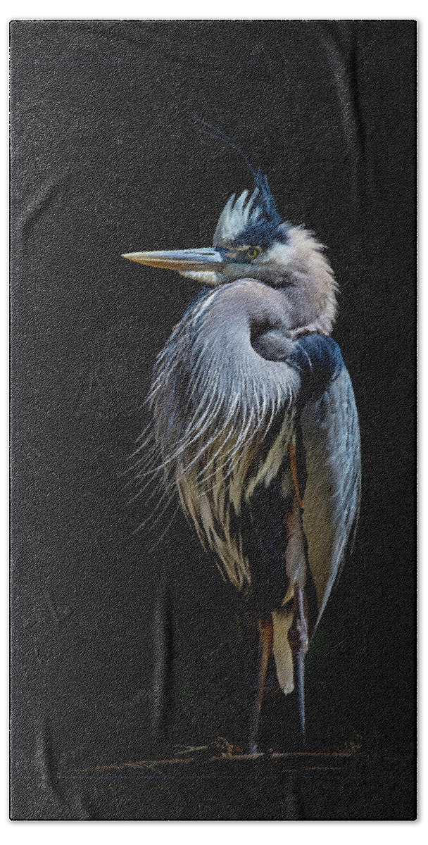 Heron Hand Towel featuring the photograph Standing Guard w border by Bruce Bonnett