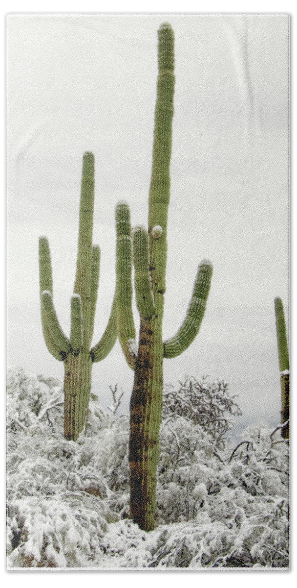 Cactus Bath Towel featuring the photograph Standing Tall by Elaine Malott