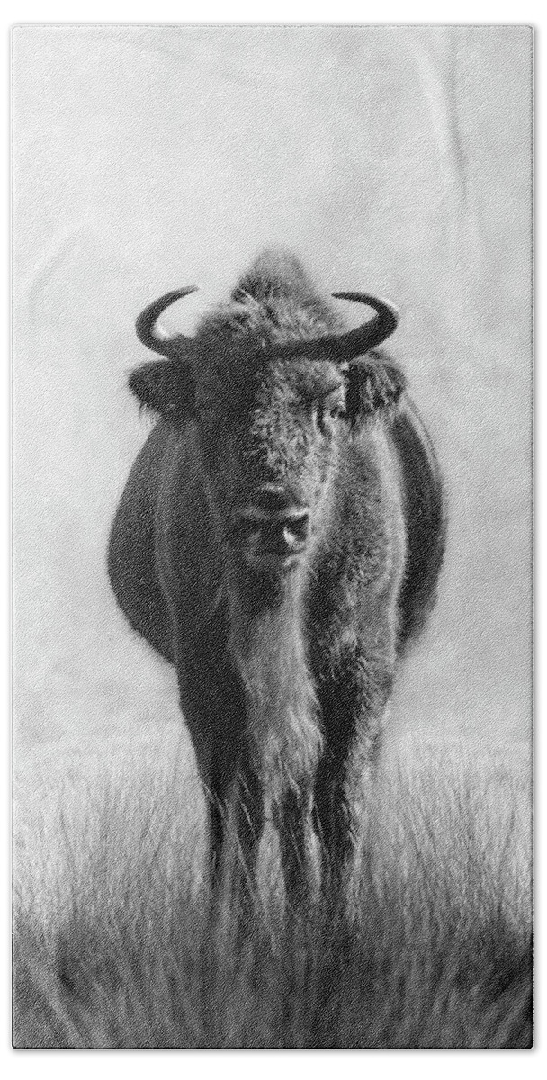 European Bison Bath Towel featuring the photograph Stare down with a Bison by Patrick Van Os