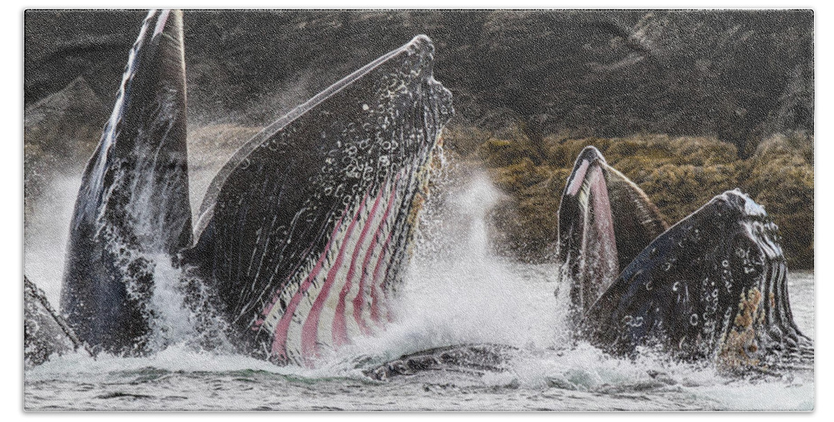 Whale Bath Towel featuring the photograph Stars n' Stripes by Michael Rauwolf
