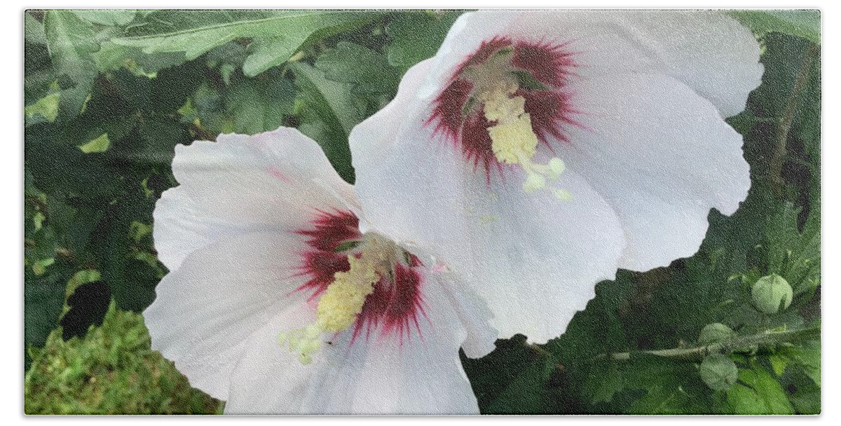 Rose Of Sharon Bath Towel featuring the photograph Hibiscus Sticking Together 2 by Catherine Wilson