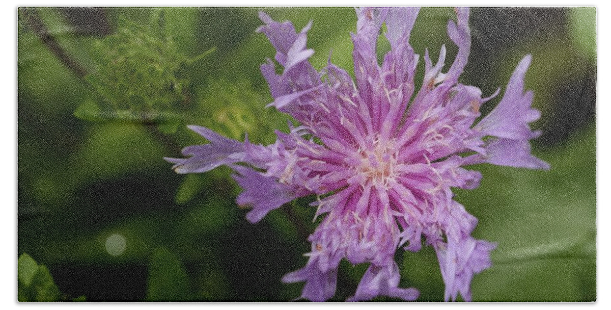 Stoke’s Aster Bath Towel featuring the photograph Stoke's Aster Flower 3 by Mingming Jiang