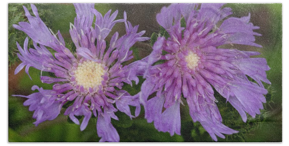 Stoke’s Aster Bath Towel featuring the photograph Stoke's Aster Flower 5 by Mingming Jiang
