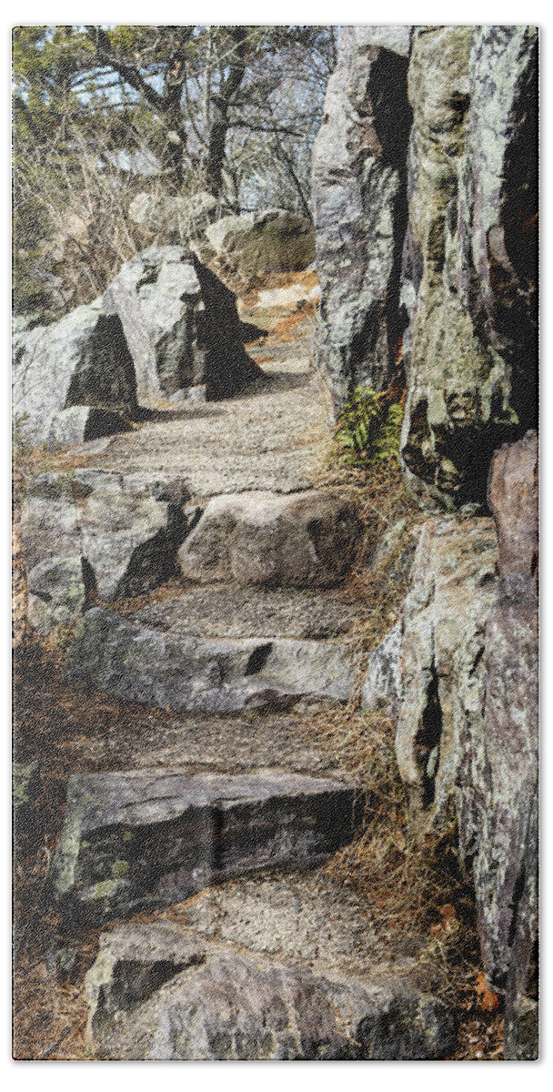 Trail Bath Towel featuring the photograph Stone Steps on Trail by Craig A Walker