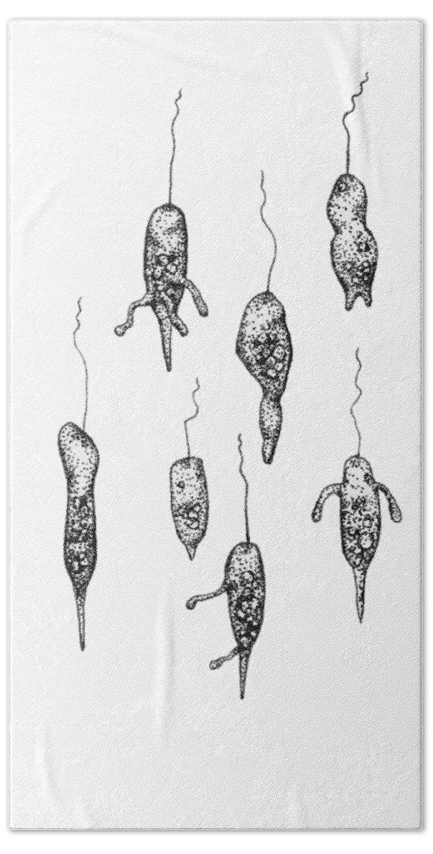 Protozoa Bath Towel featuring the drawing Strange flagellates by Katelyn Solbakk