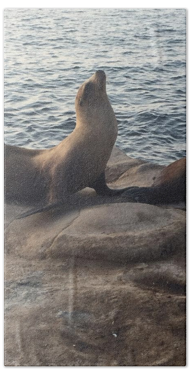 Seal Bath Sheet featuring the photograph Strike a Pose by Lisa White