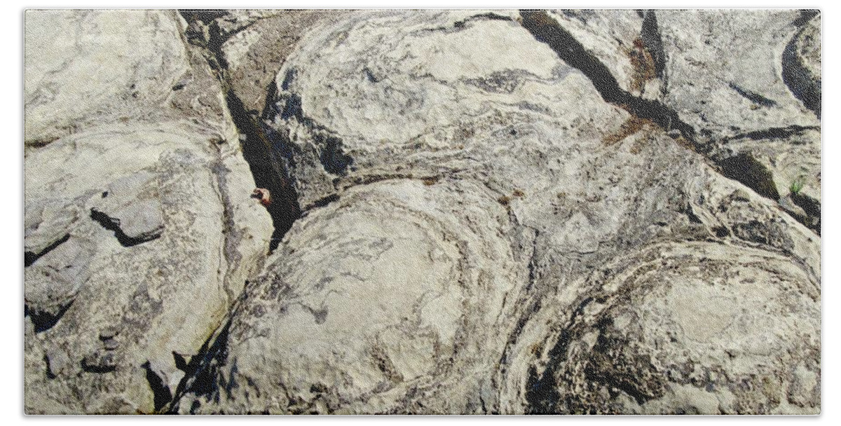 Fossils Hand Towel featuring the photograph Stromatolites by Stephanie Moore