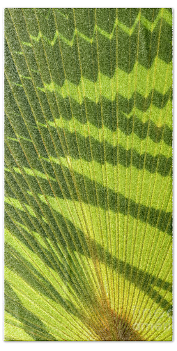 Palm Leaf Bath Towel featuring the photograph Structure of green palm leaf with shadows 2 by Adriana Mueller