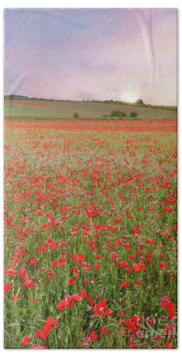 Norfolk Bath Towel featuring the photograph Norfolk poppy fields at sunrise in England by Simon Bratt