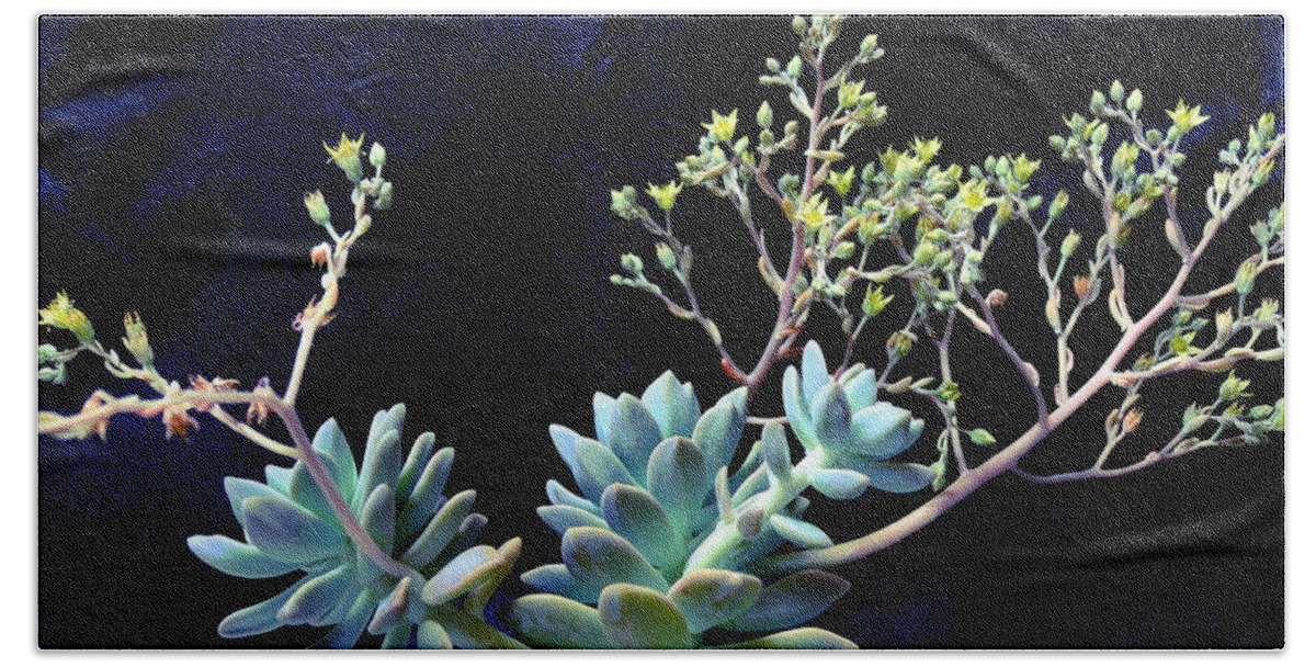 Floral Hand Towel featuring the photograph Succulent In Flower 2t by M Diane Bonaparte