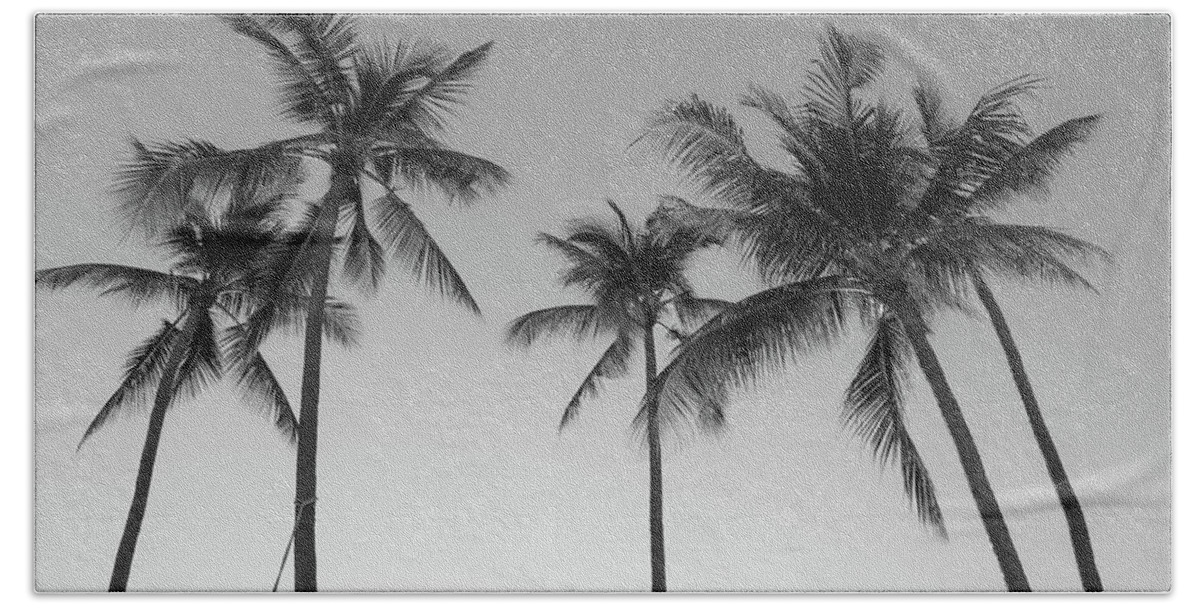 Palm Bath Towel featuring the photograph Summer Palms by Josu Ozkaritz
