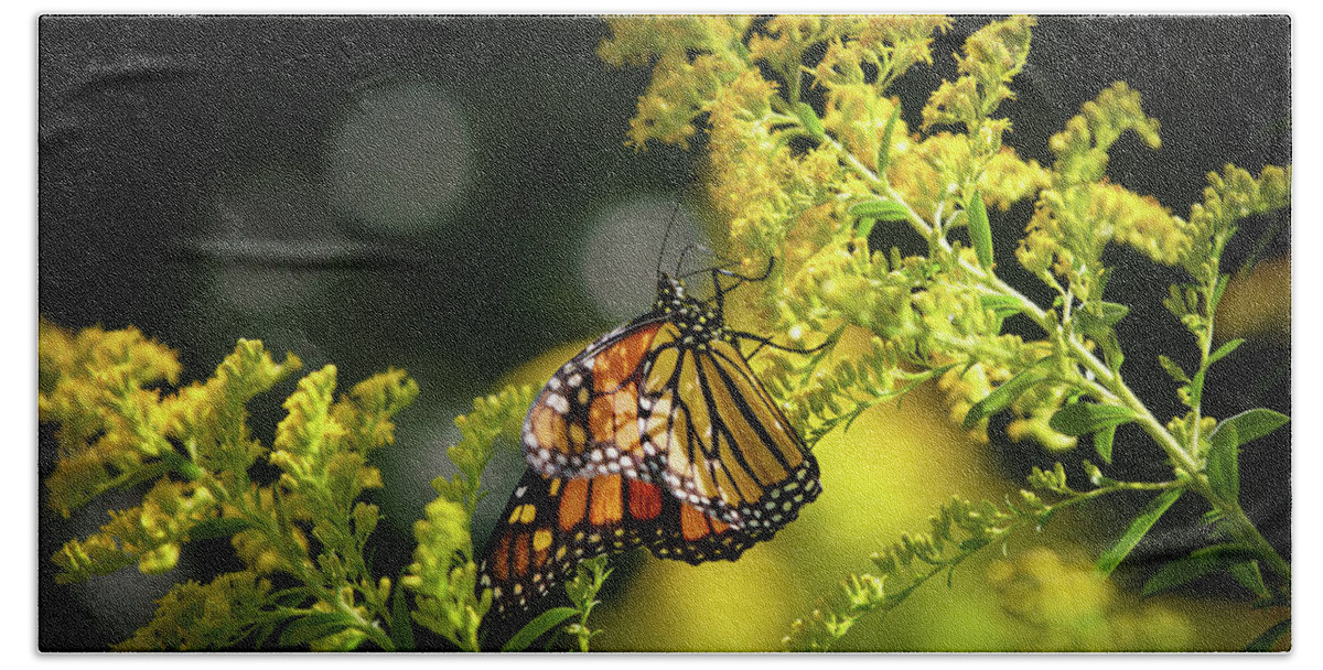 Monarch Butterfly Bath Towel featuring the photograph Summer Sojourn by Rehna George