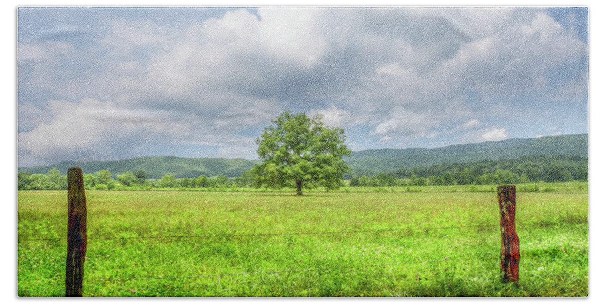 Cades Bath Towel featuring the photograph Summer Tree in Cades Cove by Debra and Dave Vanderlaan