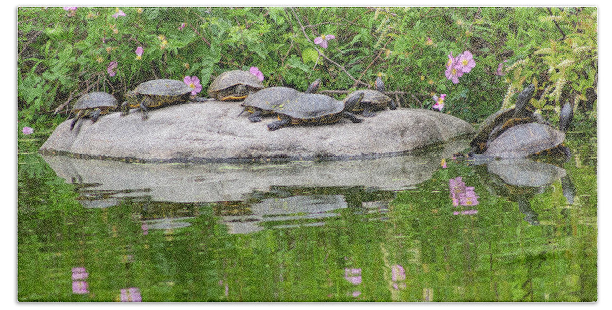 Turtle Hand Towel featuring the photograph Summer Turtles in the Park by Auden Johnson