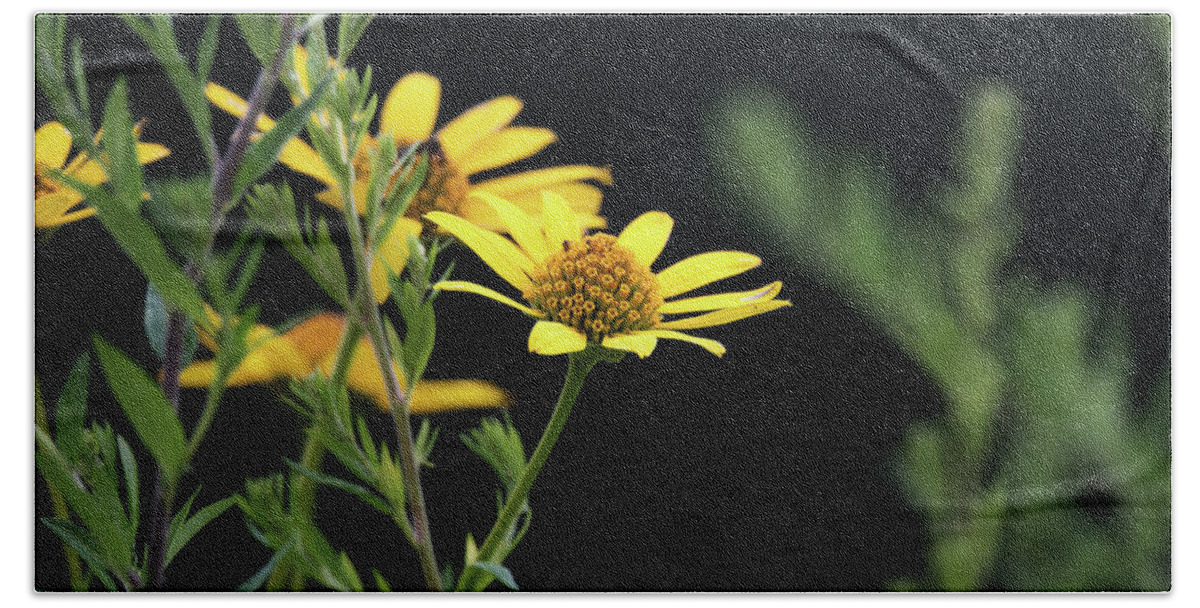 Wildflowers Hand Towel featuring the photograph Summer Wildflowers - Ox Eye Sunflower by Rehna George