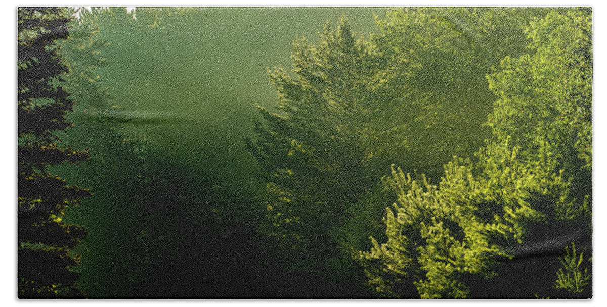 Sunbeams Bath Towel featuring the photograph Sun Beams Through the Forest Trees by Sandra J's